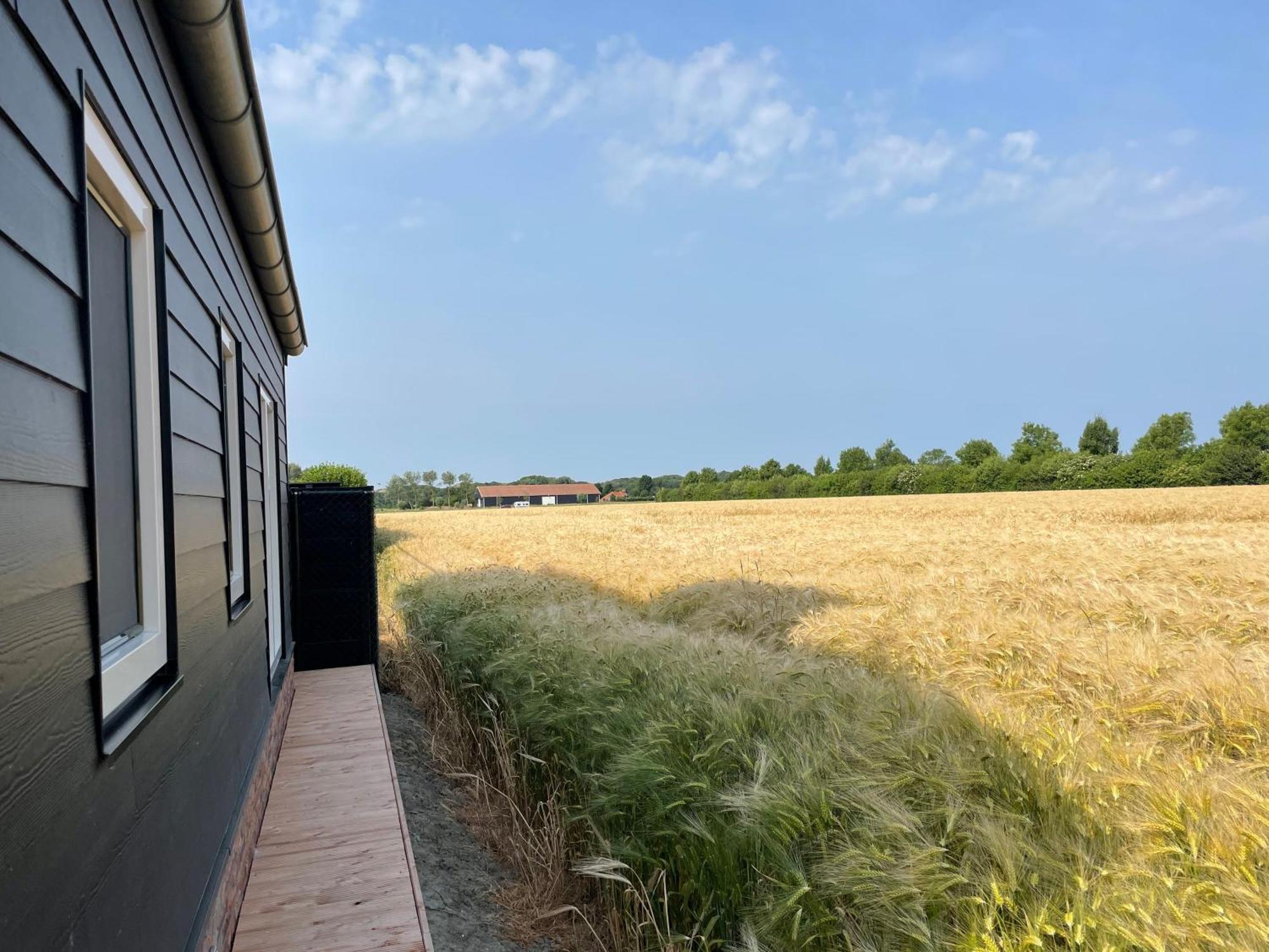 Ferienhaus T Koetshuis